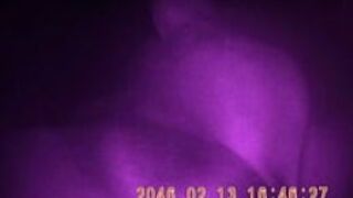 sucking cock in a porn cinema - porn video