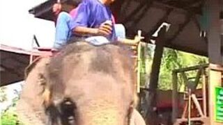 Double Thai END - porn video